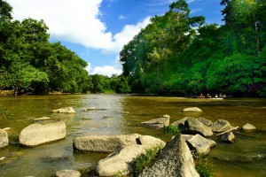 Tumbang Miri